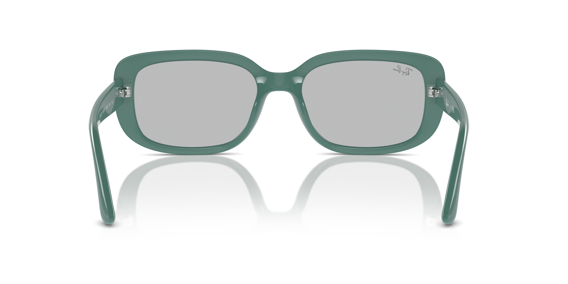Ray-Ban Sunglasses RB4421D 676287
