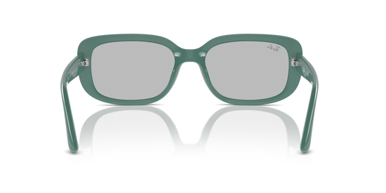 Ray-Ban Sunglasses RB4421D 676287