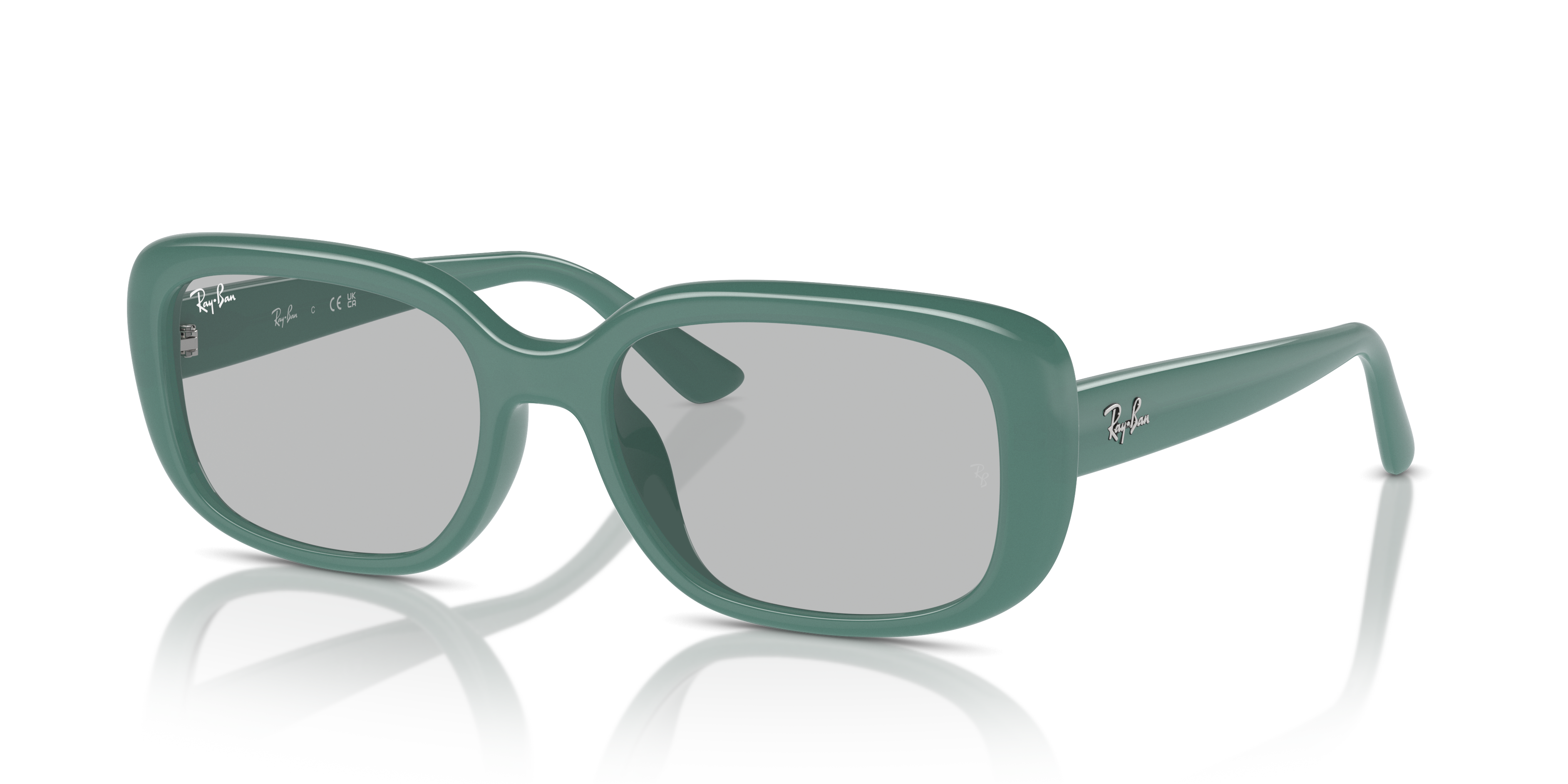 Ray-Ban Sunglasses RB4421D 676287