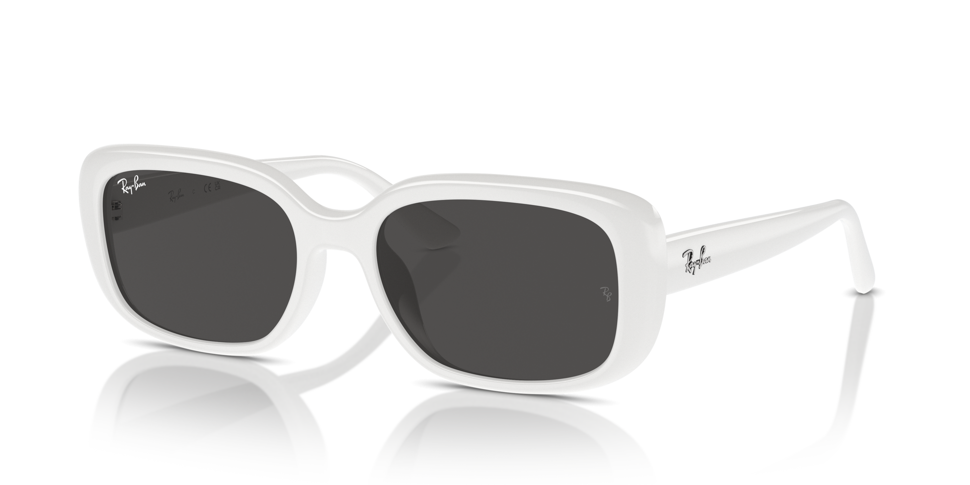 Ray-Ban Sunglasses RB4421D 677287