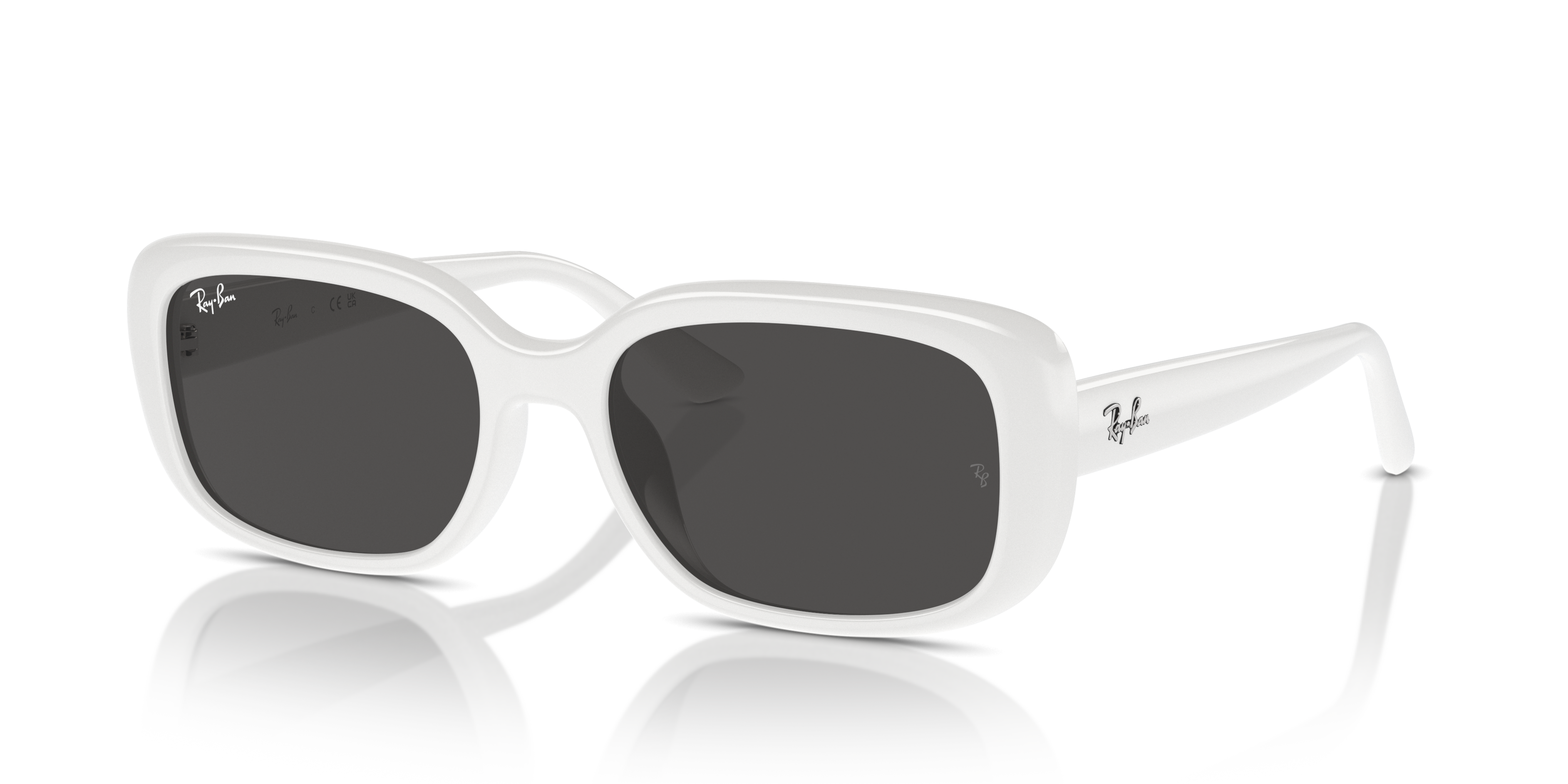 Ray-Ban Sunglasses RB4421D 677287