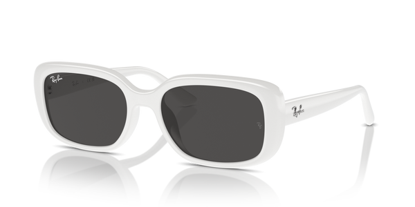 Ray-Ban RB4421D 677287