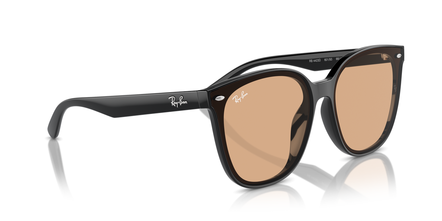 Ray-Ban Sunglasses RB4423D 601/93