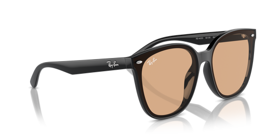 Ray-Ban Sunglasses RB4423D 601/93