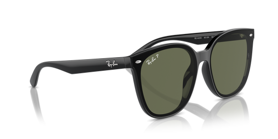 Ray-Ban Sunglasses RB4423D 601/9A