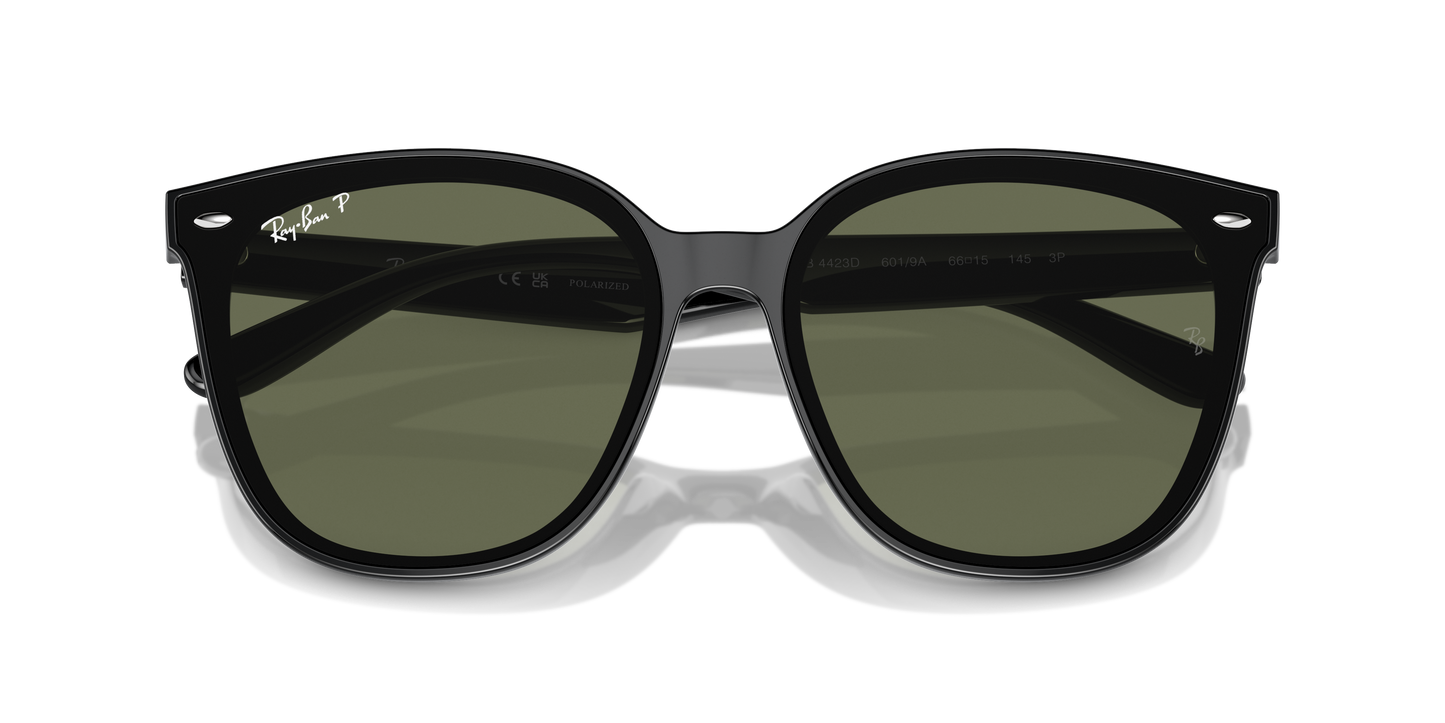 Ray-Ban Sunglasses RB4423D 601/9A