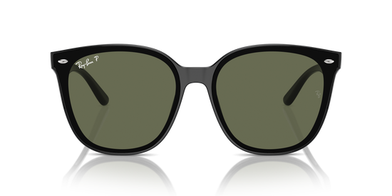 Ray-Ban Sunglasses RB4423D 601/9A