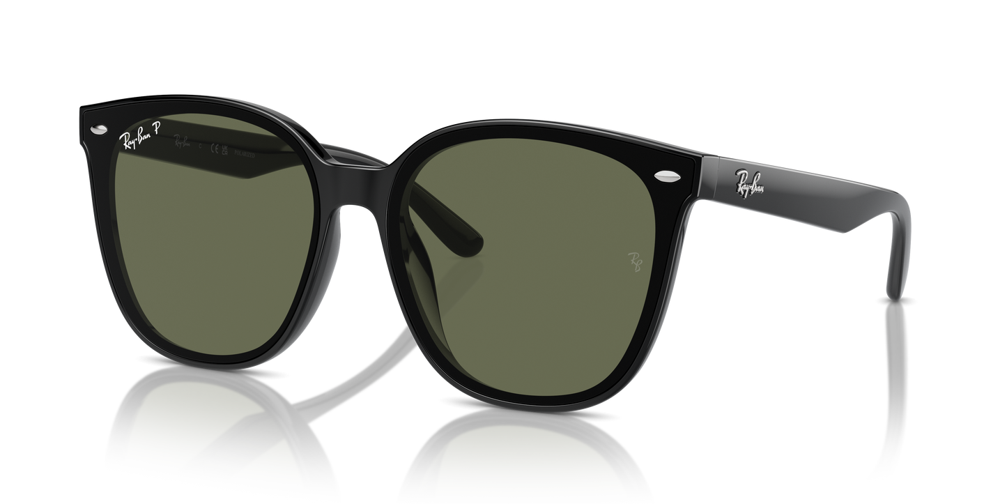 Ray-Ban Sunglasses RB4423D 601/9A