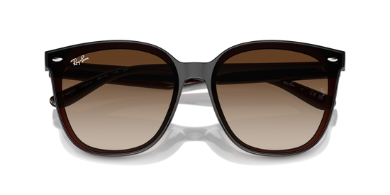 Ray-Ban Sunglasses RB4423D 714/13