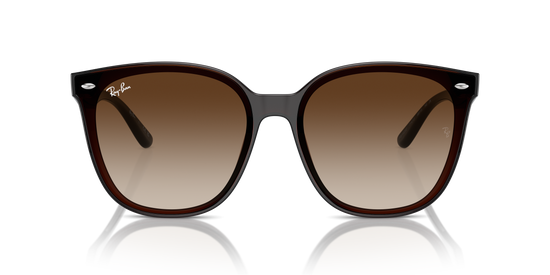 Ray-Ban Sunglasses RB4423D 714/13