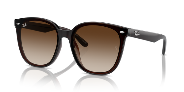 Ray-Ban RB4423D 714/13