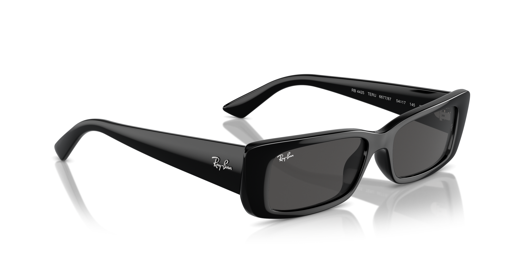 Ray-Ban Teru Sunglasses RB4425 667787