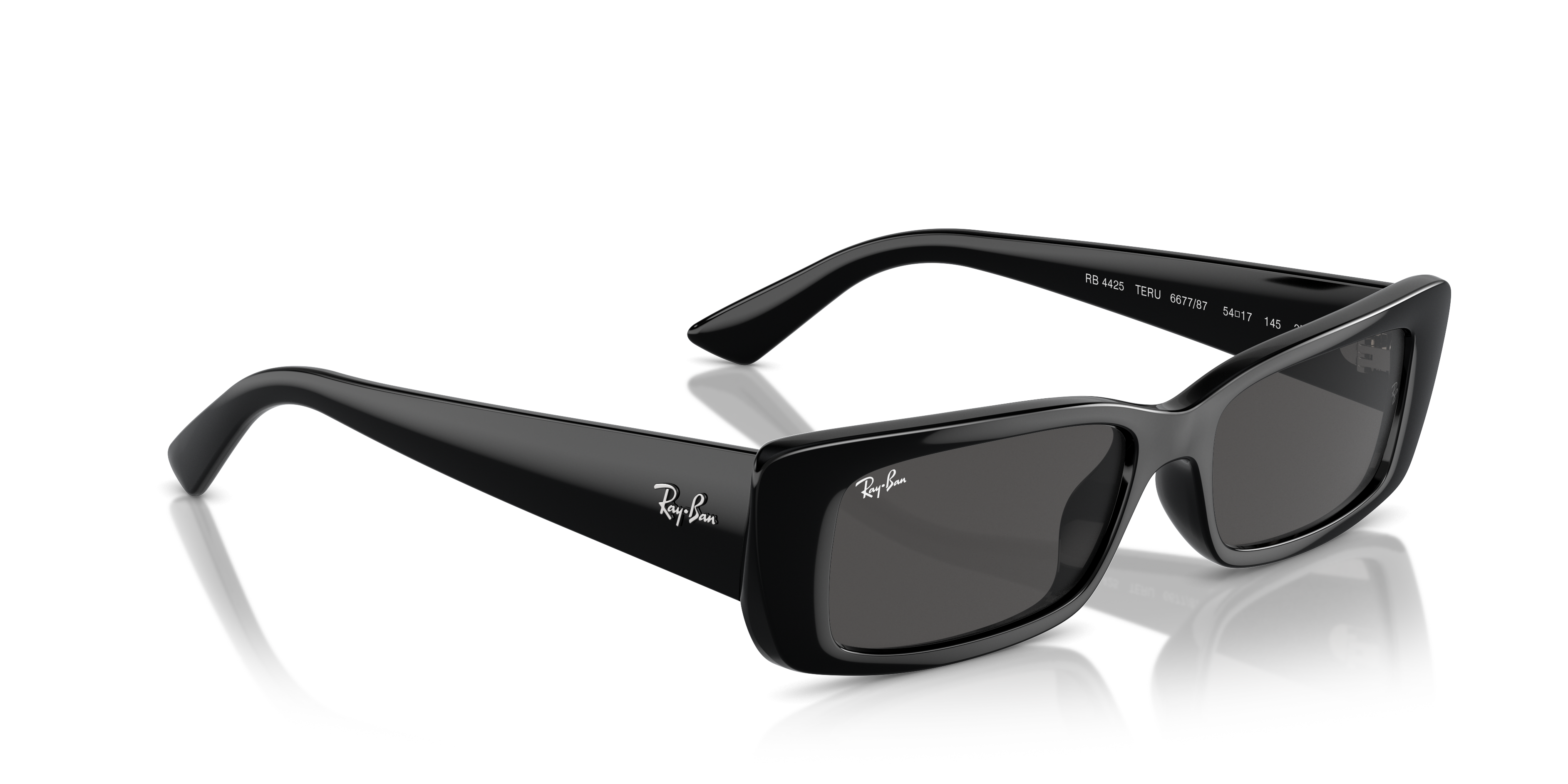 Ray-Ban Teru Sunglasses RB4425 667787