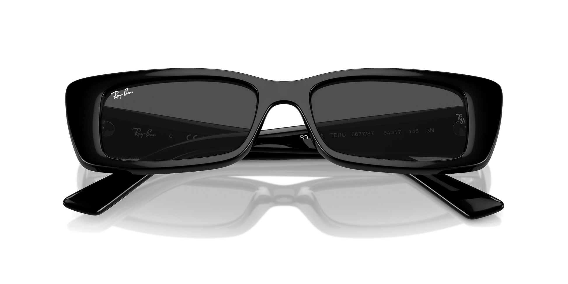 Ray-Ban Teru Sunglasses RB4425 667787