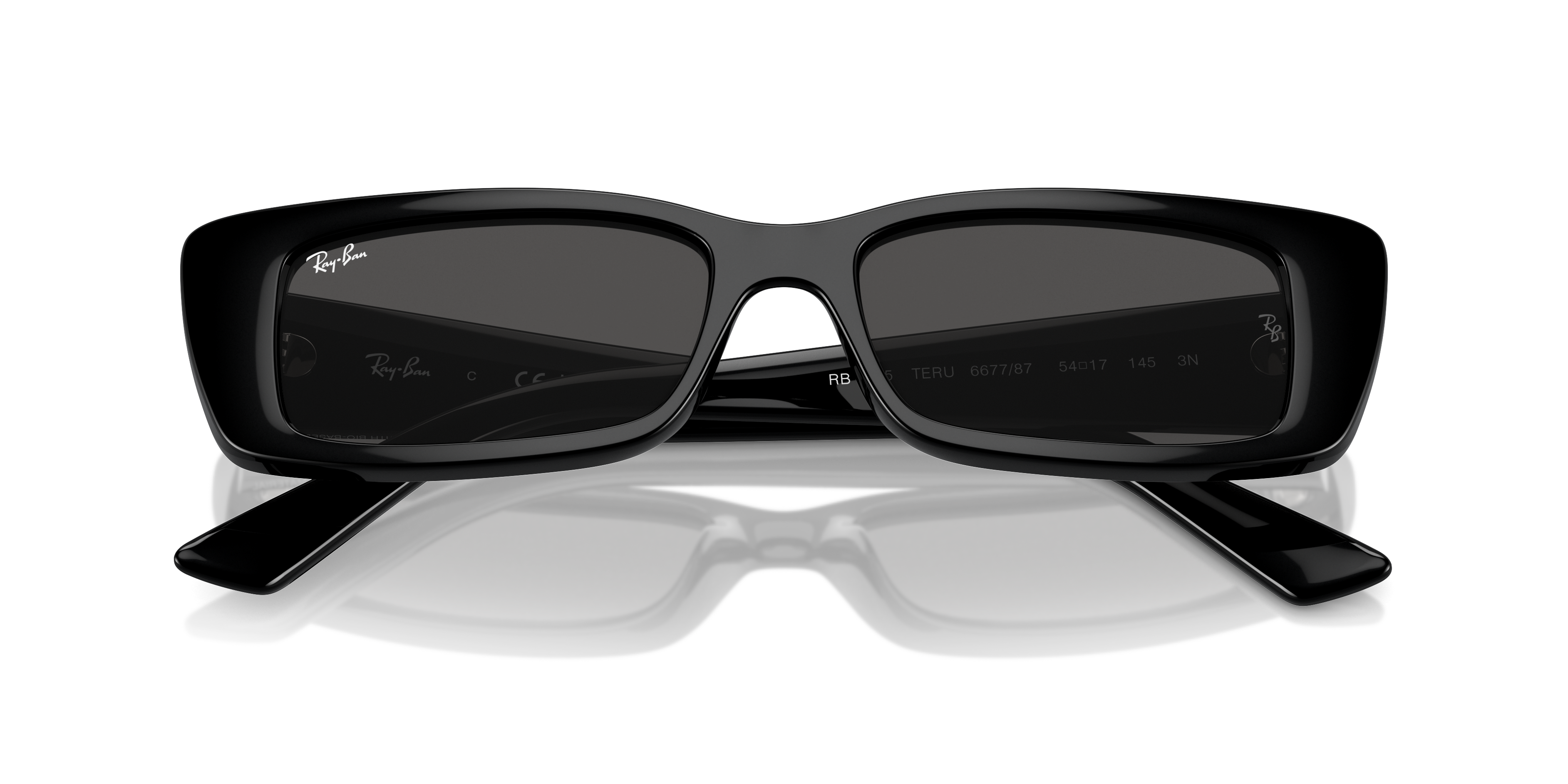 Ray-Ban Teru Sunglasses RB4425 667787