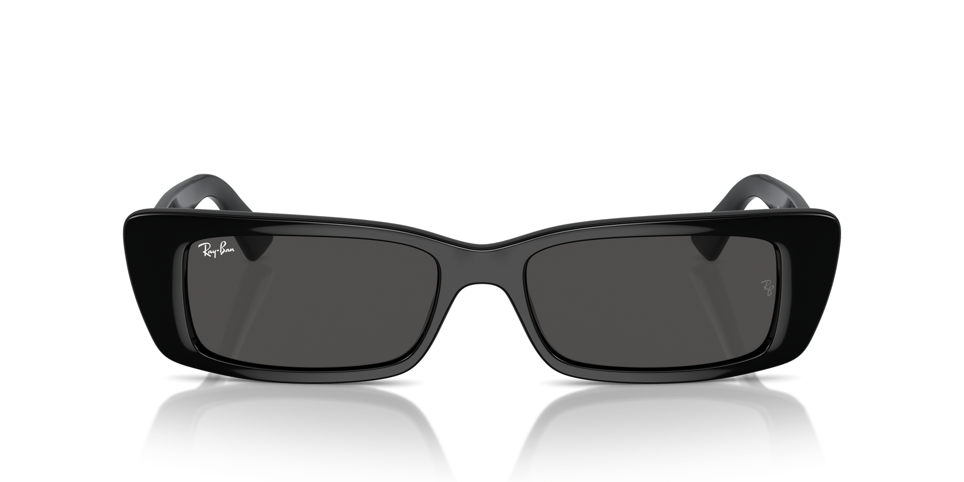 Ray-Ban Teru Sunglasses RB4425 667787