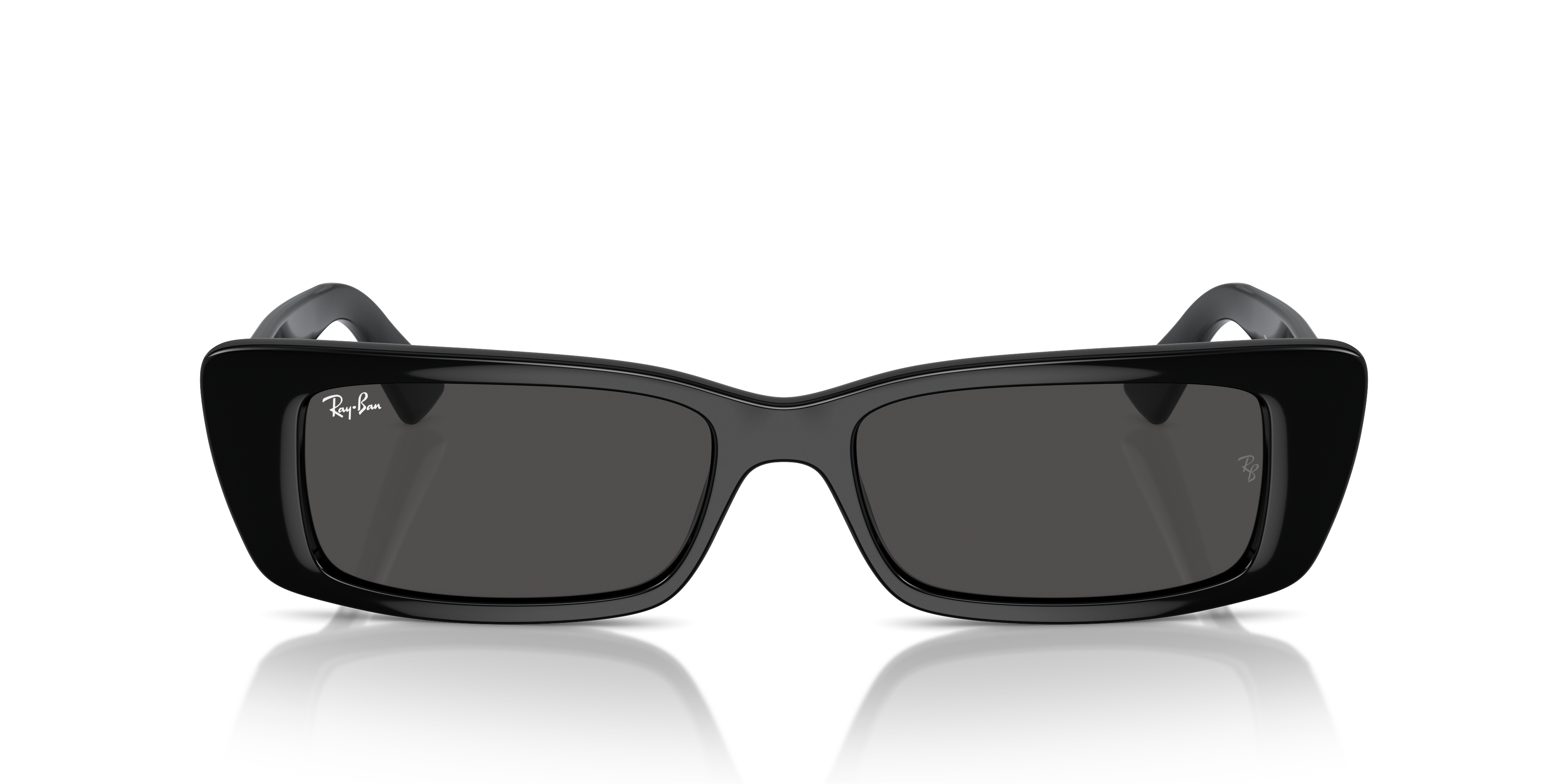 Ray-Ban Teru Sunglasses RB4425 667787