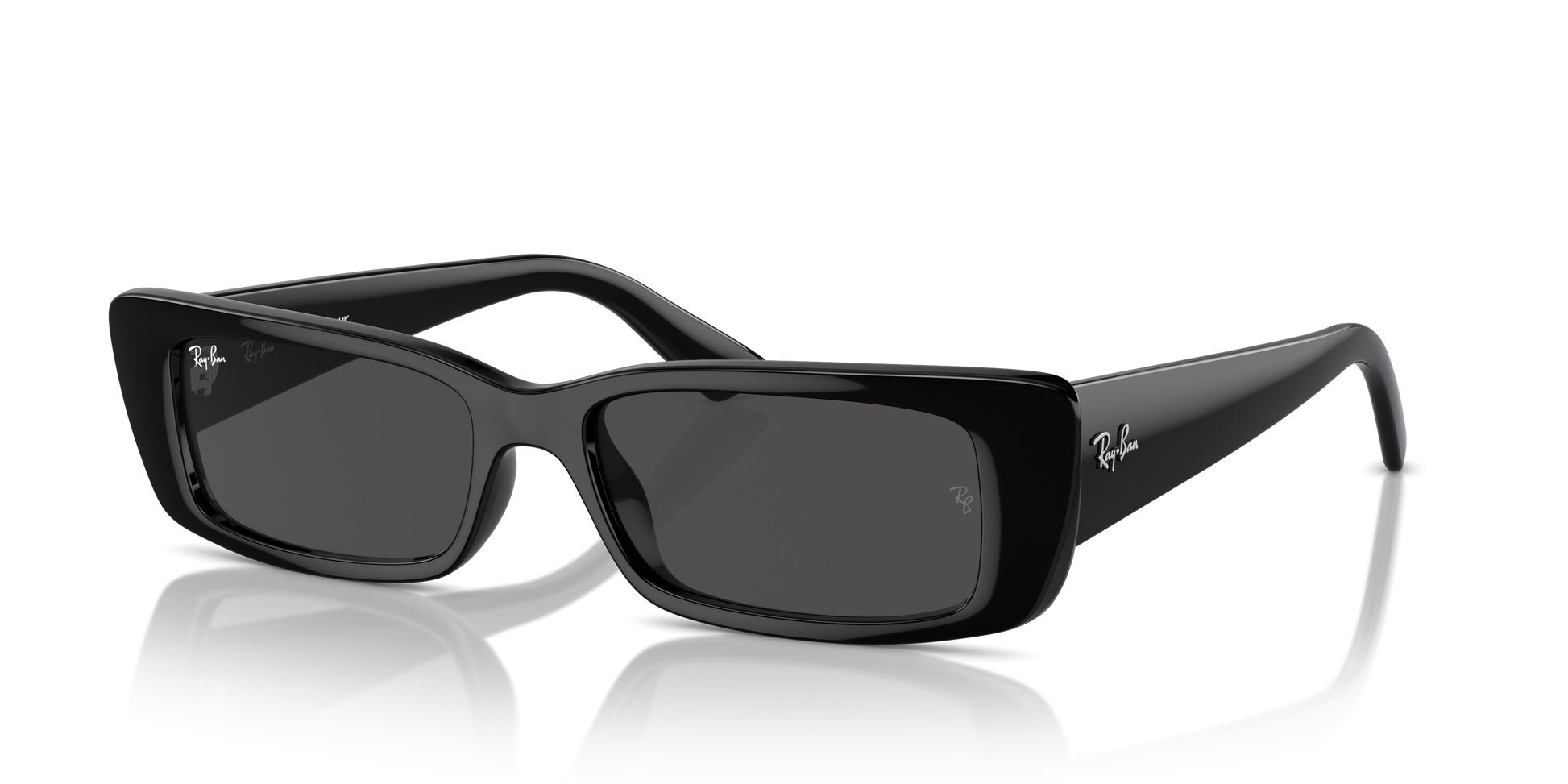 Ray-Ban Teru Sunglasses RB4425 667787