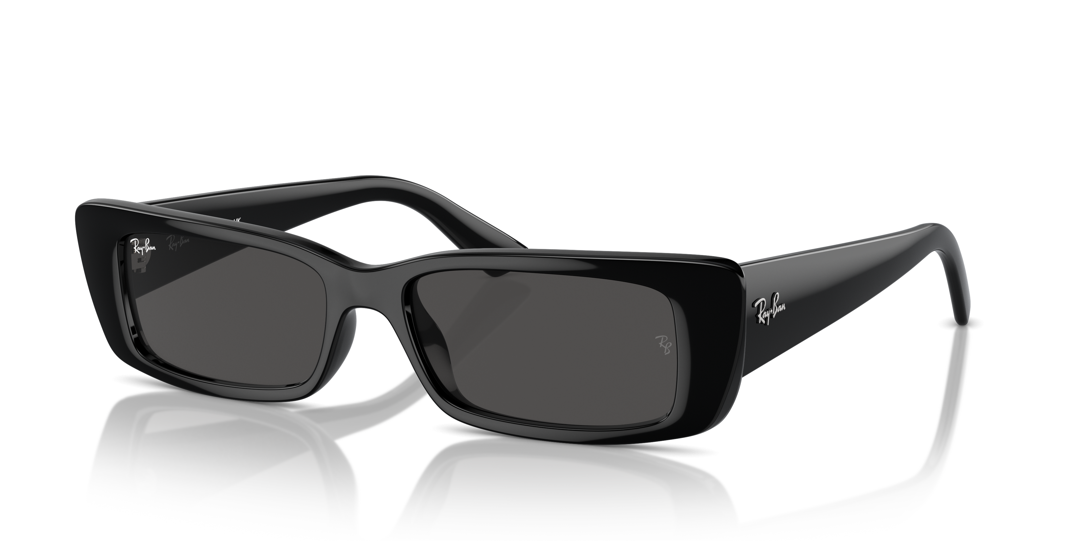 Ray-Ban Teru Sunglasses RB4425 667787