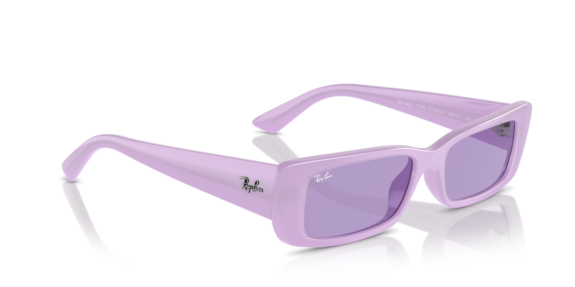 Ray-Ban Teru Sunglasses RB4425 67581A