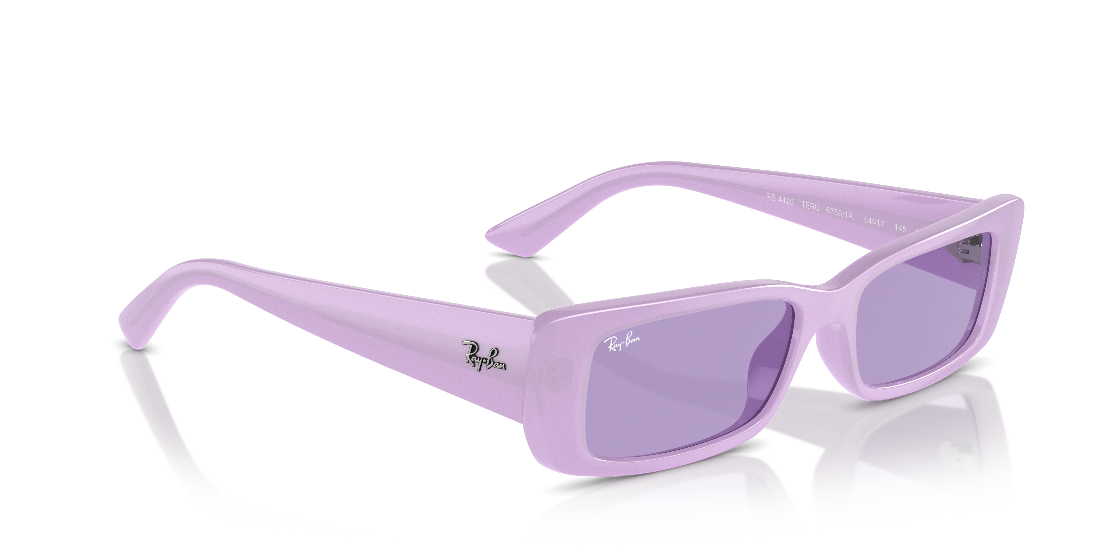 Ray-Ban Teru Sunglasses RB4425 67581A