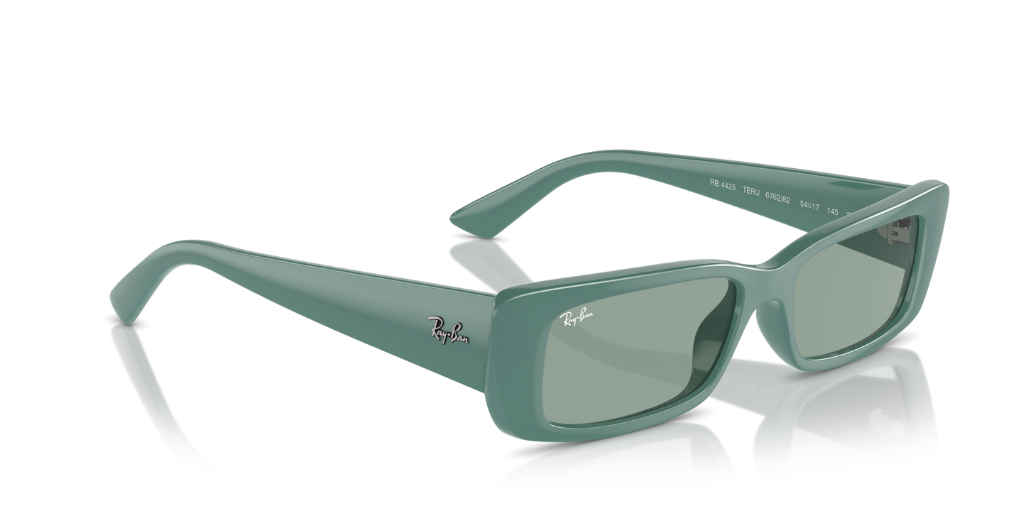 Ray-Ban Teru Sunglasses RB4425 676282