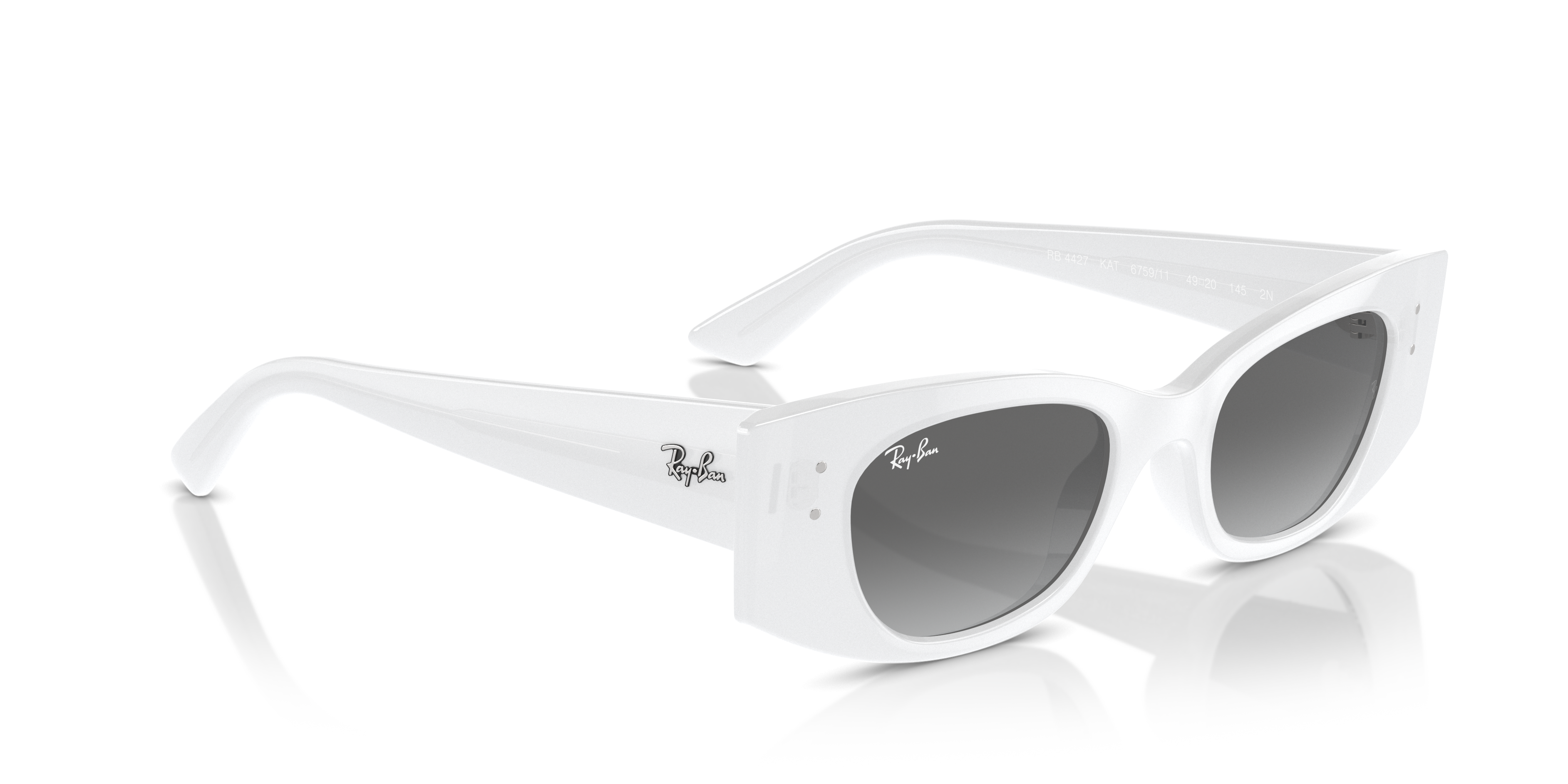 Ray-Ban Kat Sunglasses RB4427 675911