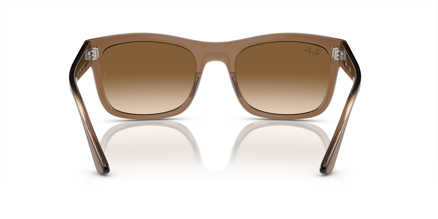 Ray-Ban Sunglasses RB4428 664051