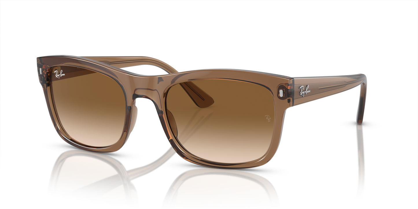 Ray-Ban Sunglasses RB4428 664051