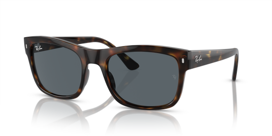 Ray-Ban Sunglasses RB4428 710/R5