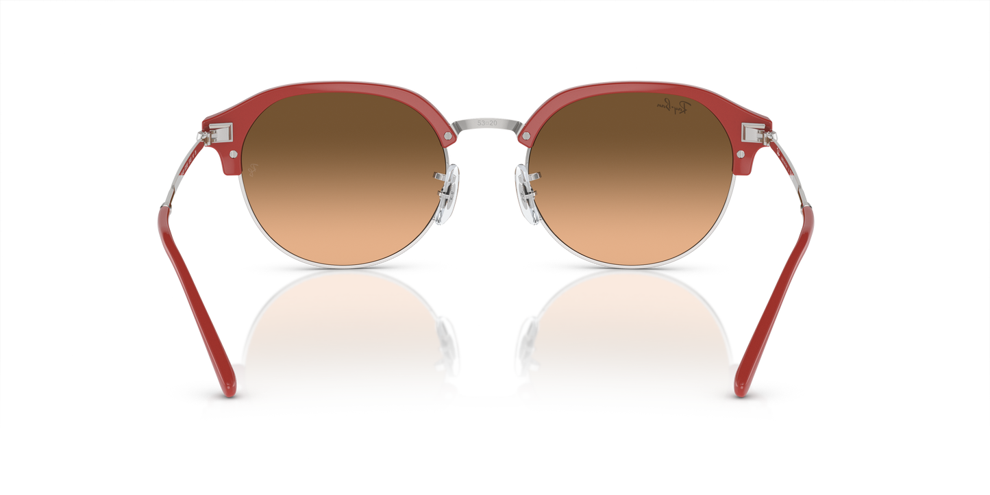 Ray-Ban Sunglasses RB4429 67223B