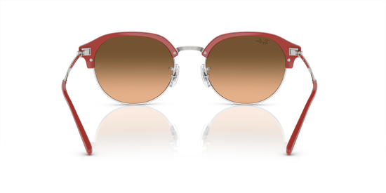 Ray-Ban Sunglasses RB4429 67223B