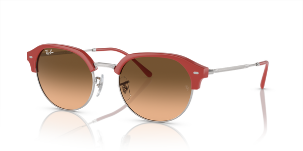 Ray-Ban RB4429 67223B