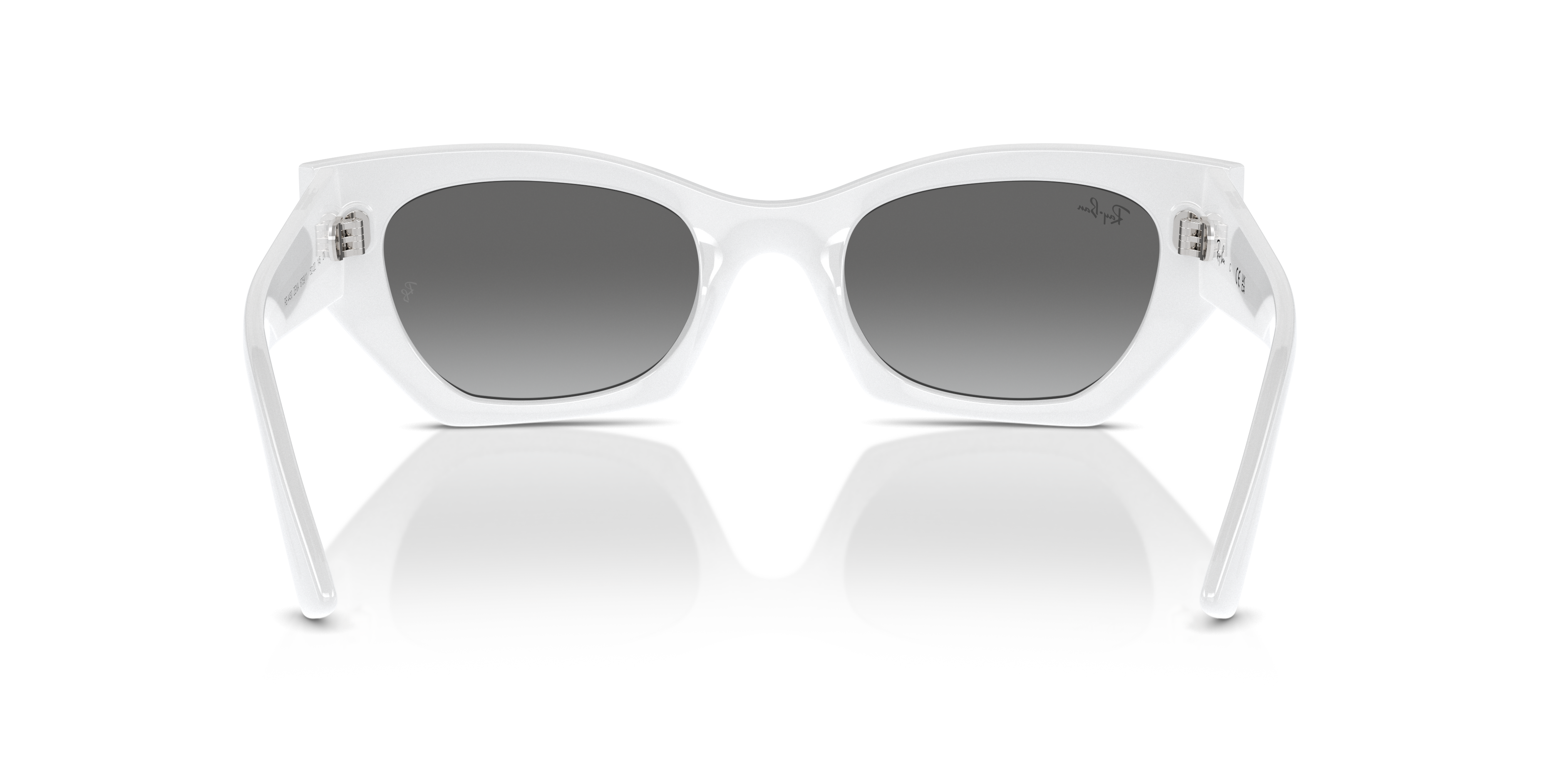 Ray-Ban Zena Sunglasses RB4430 675911