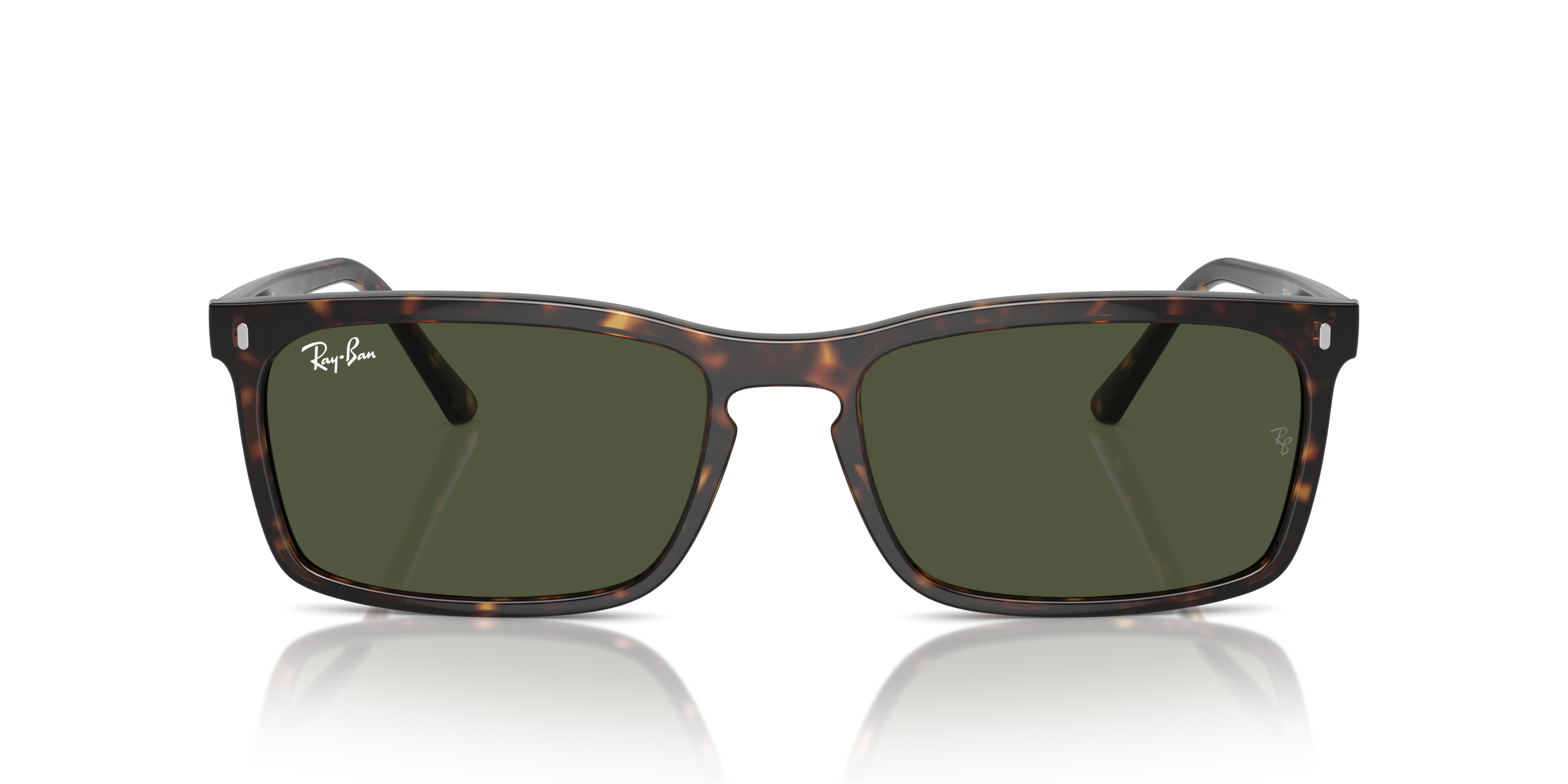 Ray-Ban Sunglasses RB4435 902/31