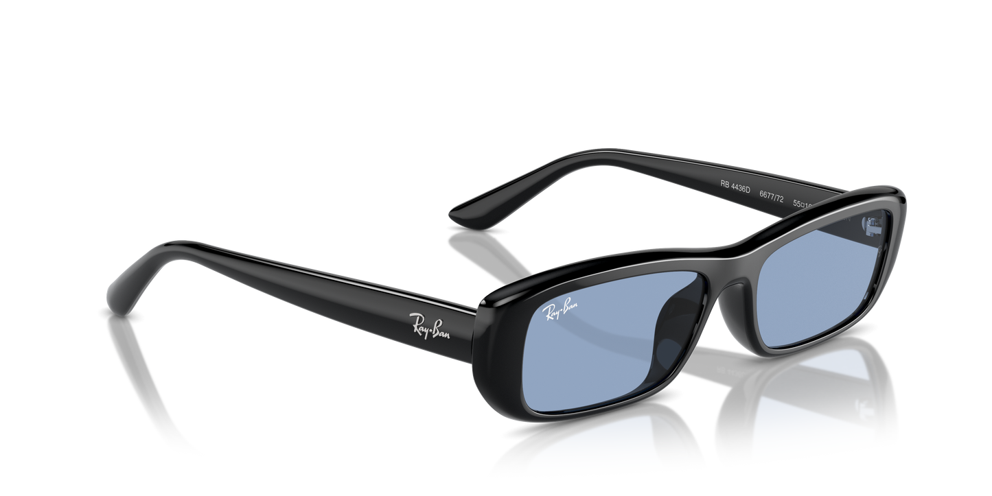 Ray-Ban Sunglasses RB4436D 667772