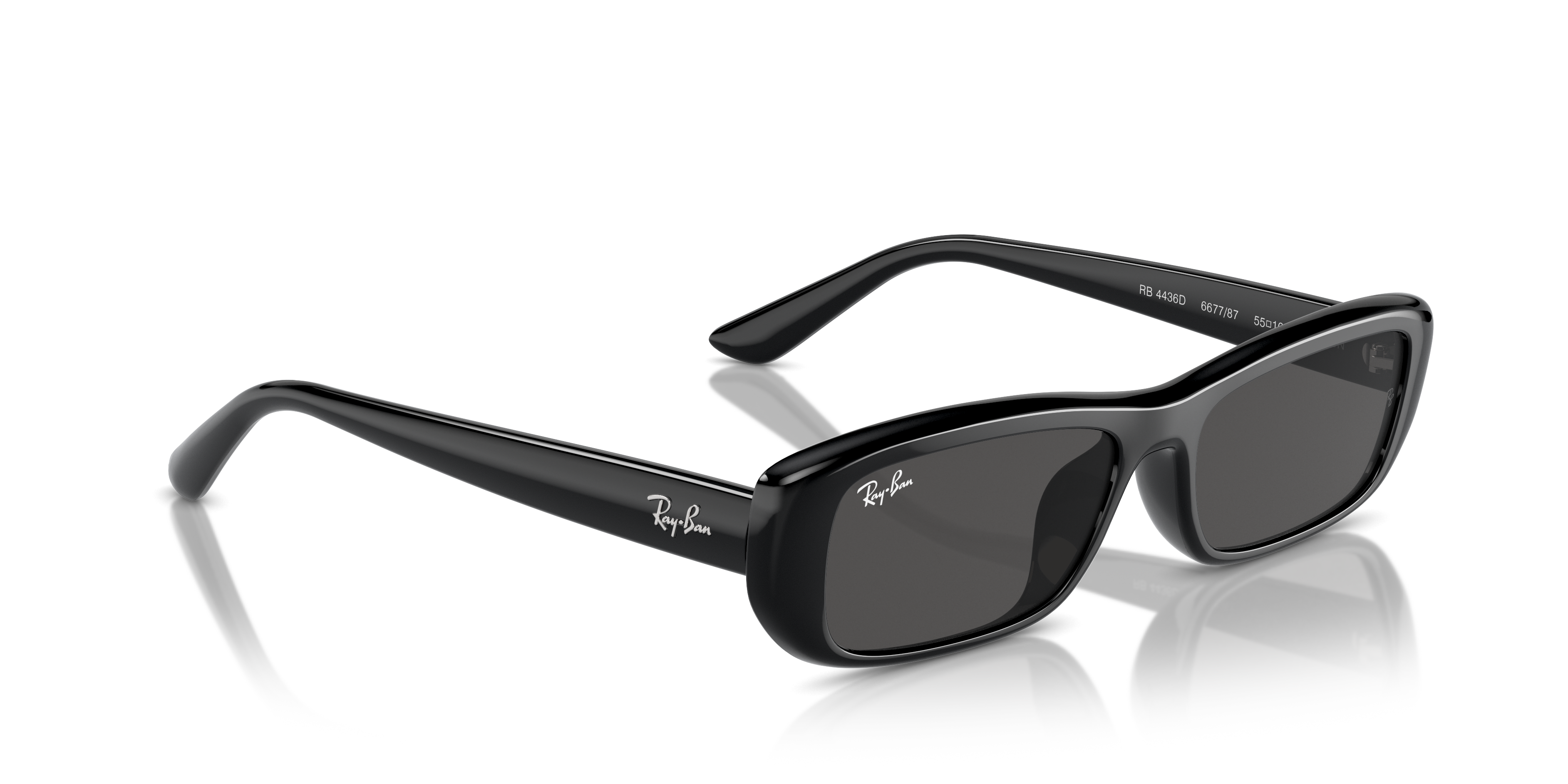 Ray-Ban Sunglasses RB4436D 667787