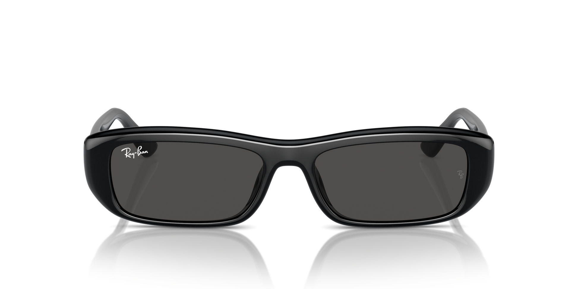 Ray-Ban Sunglasses RB4436D 667787