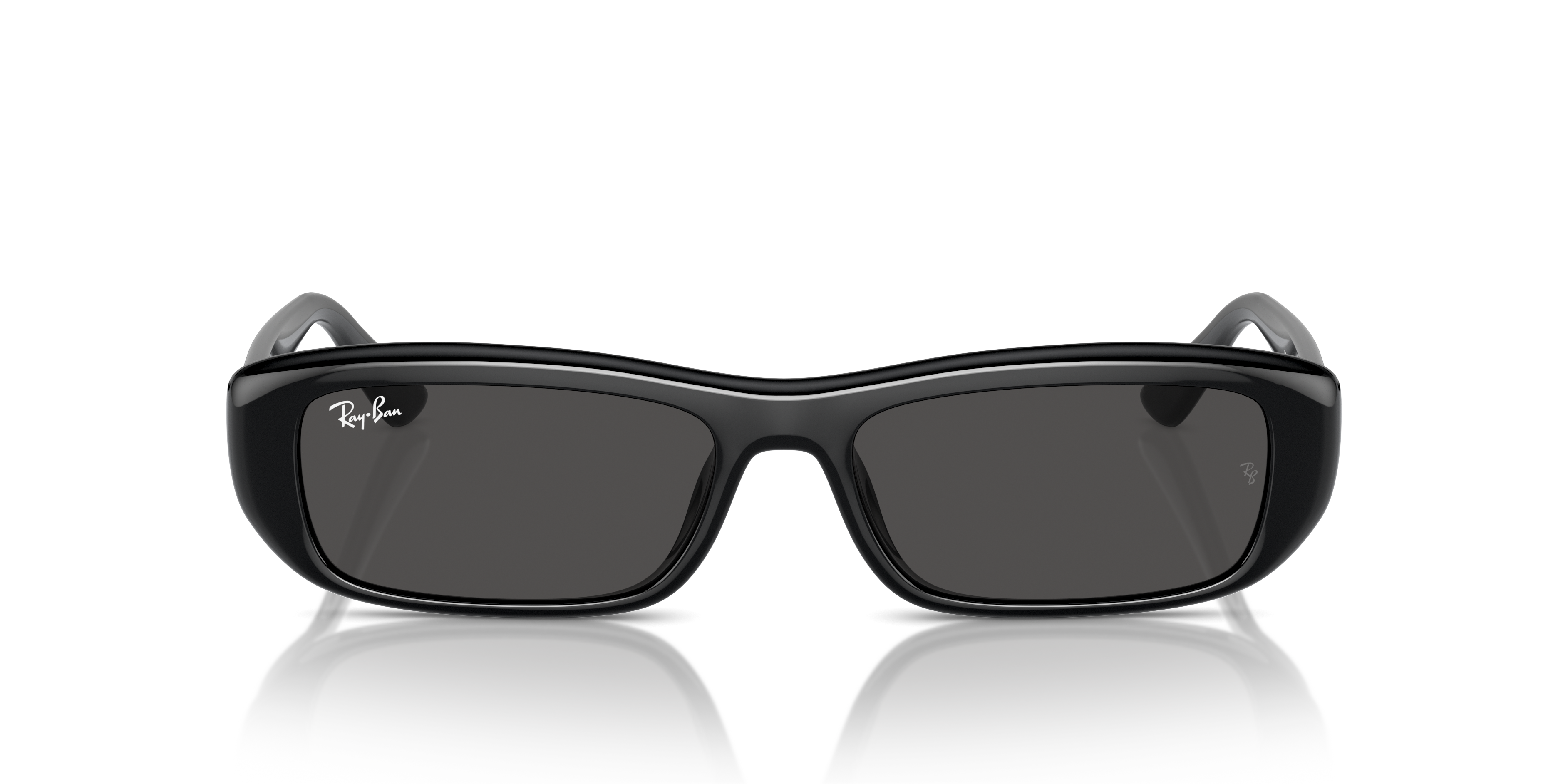 Ray-Ban Sunglasses RB4436D 667787