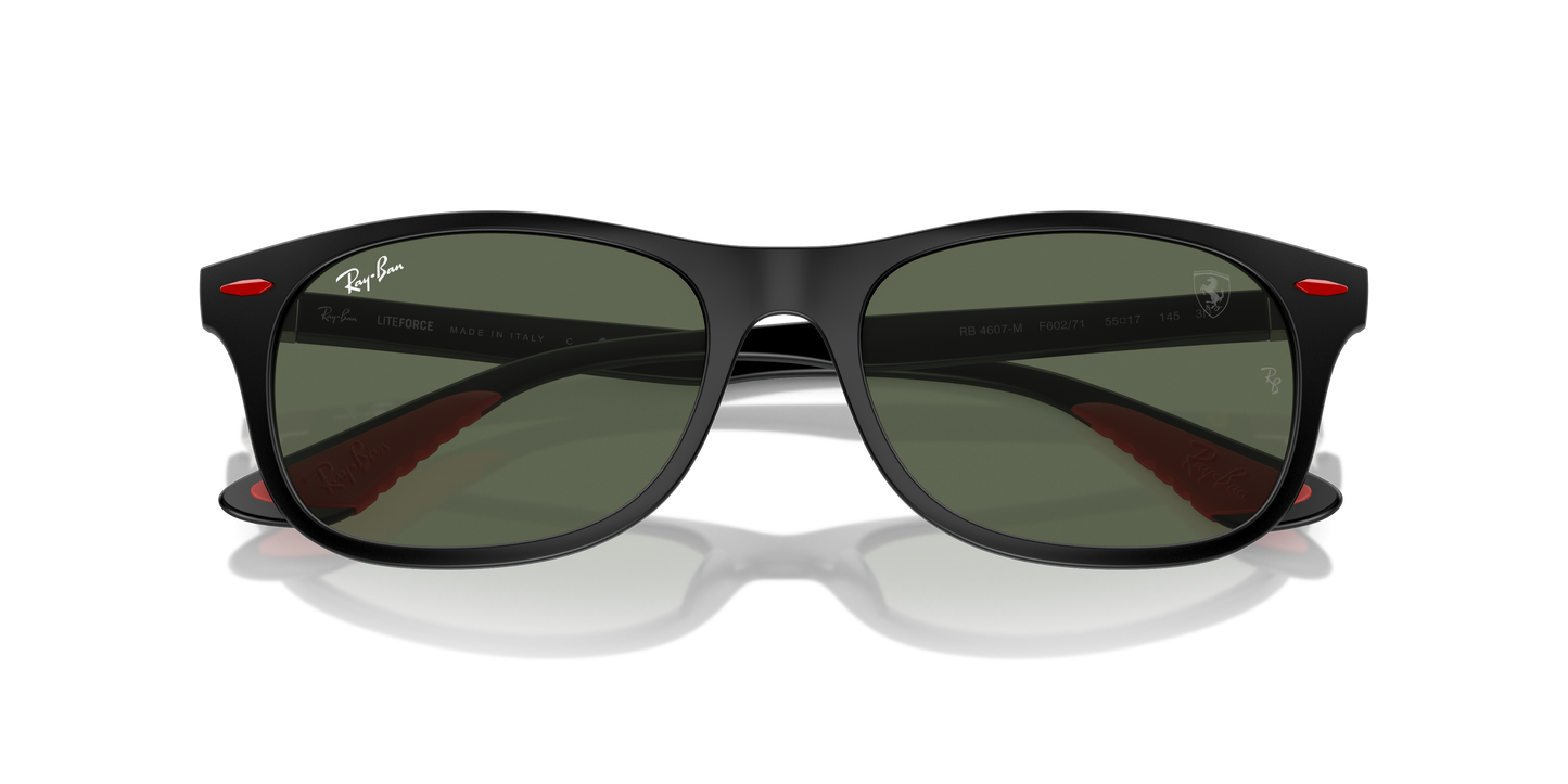 Ray-Ban Sunglasses RB4607M F60271