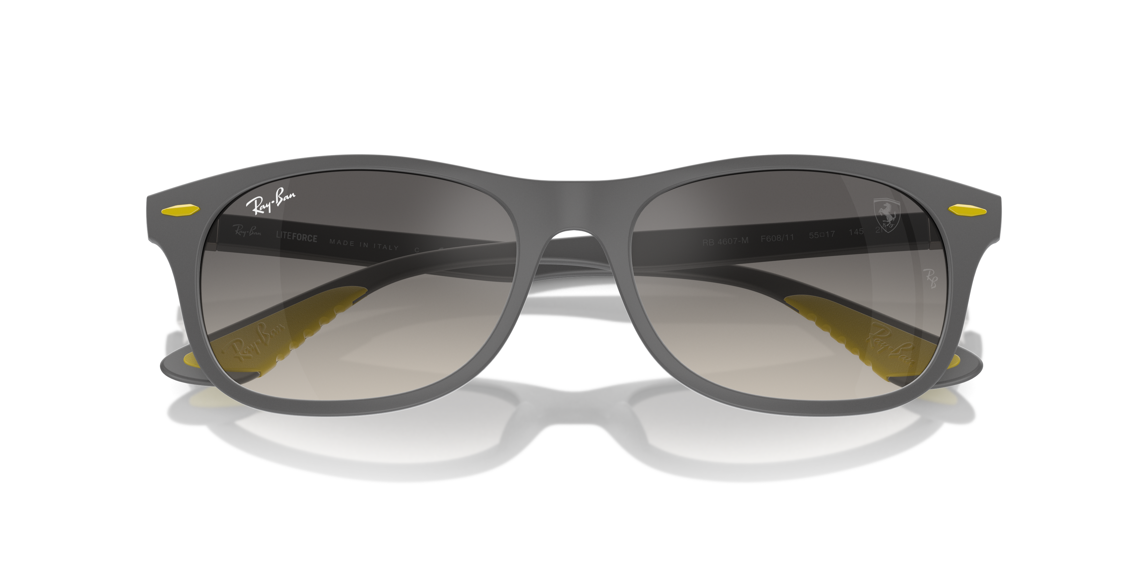 Ray-Ban Sunglasses RB4607M F60811