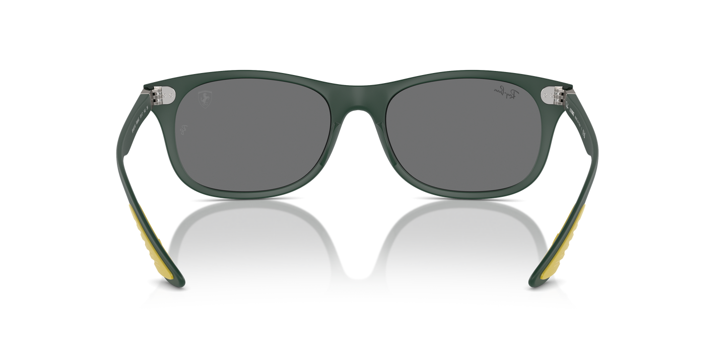 Ray-Ban Sunglasses RB4607M F6996G