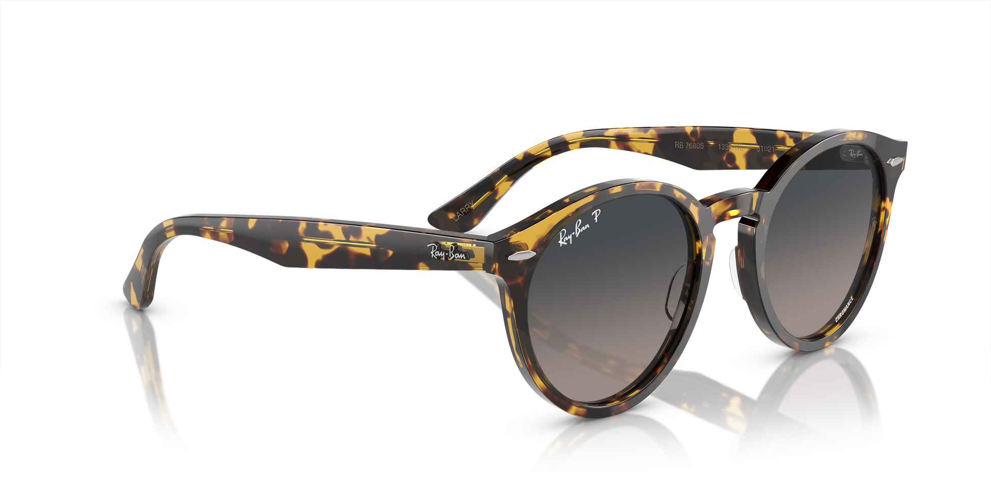 Ray-Ban Larry Sunglasses RB7680S 1332GL