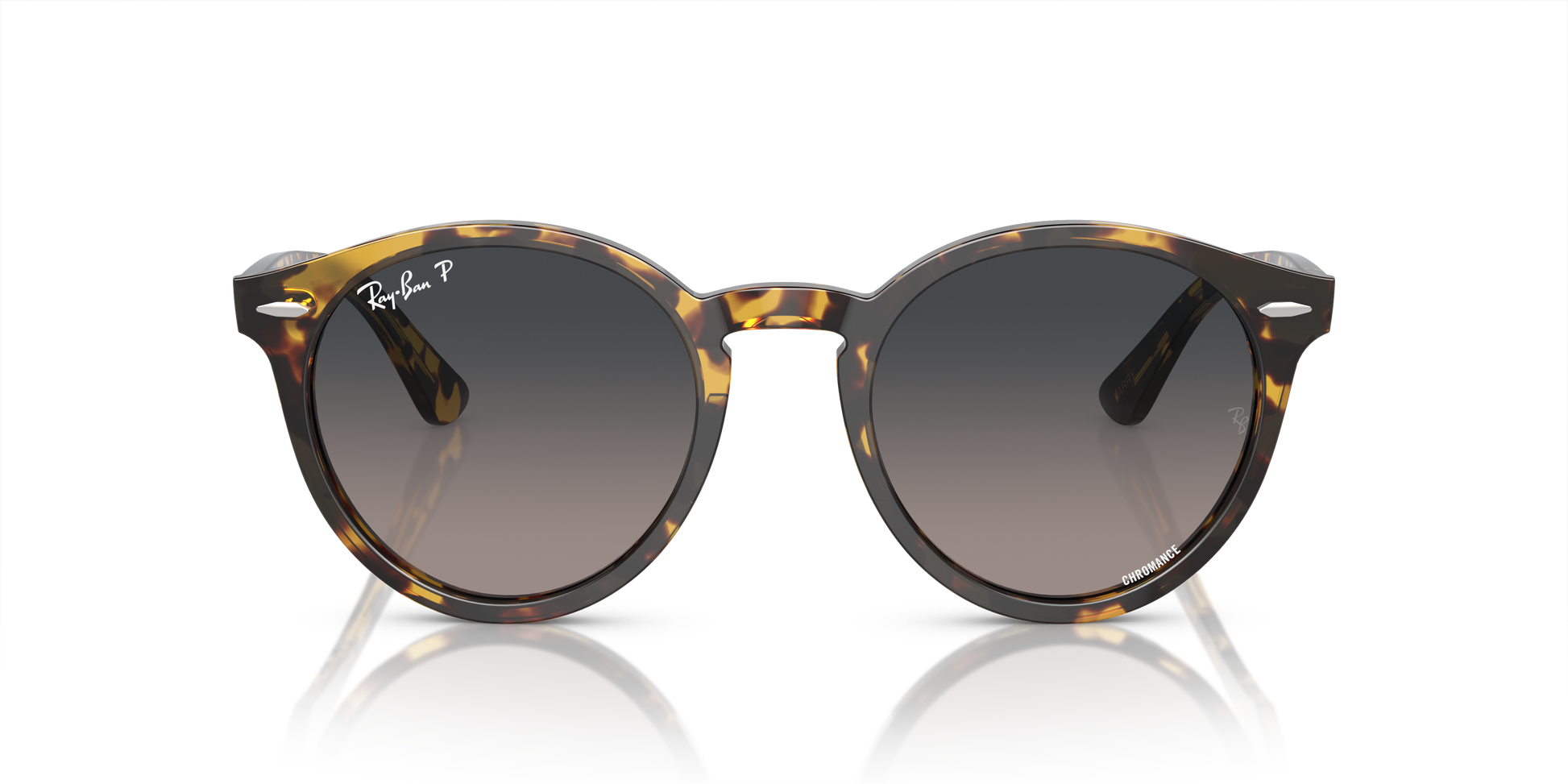 Ray-Ban Larry Sunglasses RB7680S 1332GL