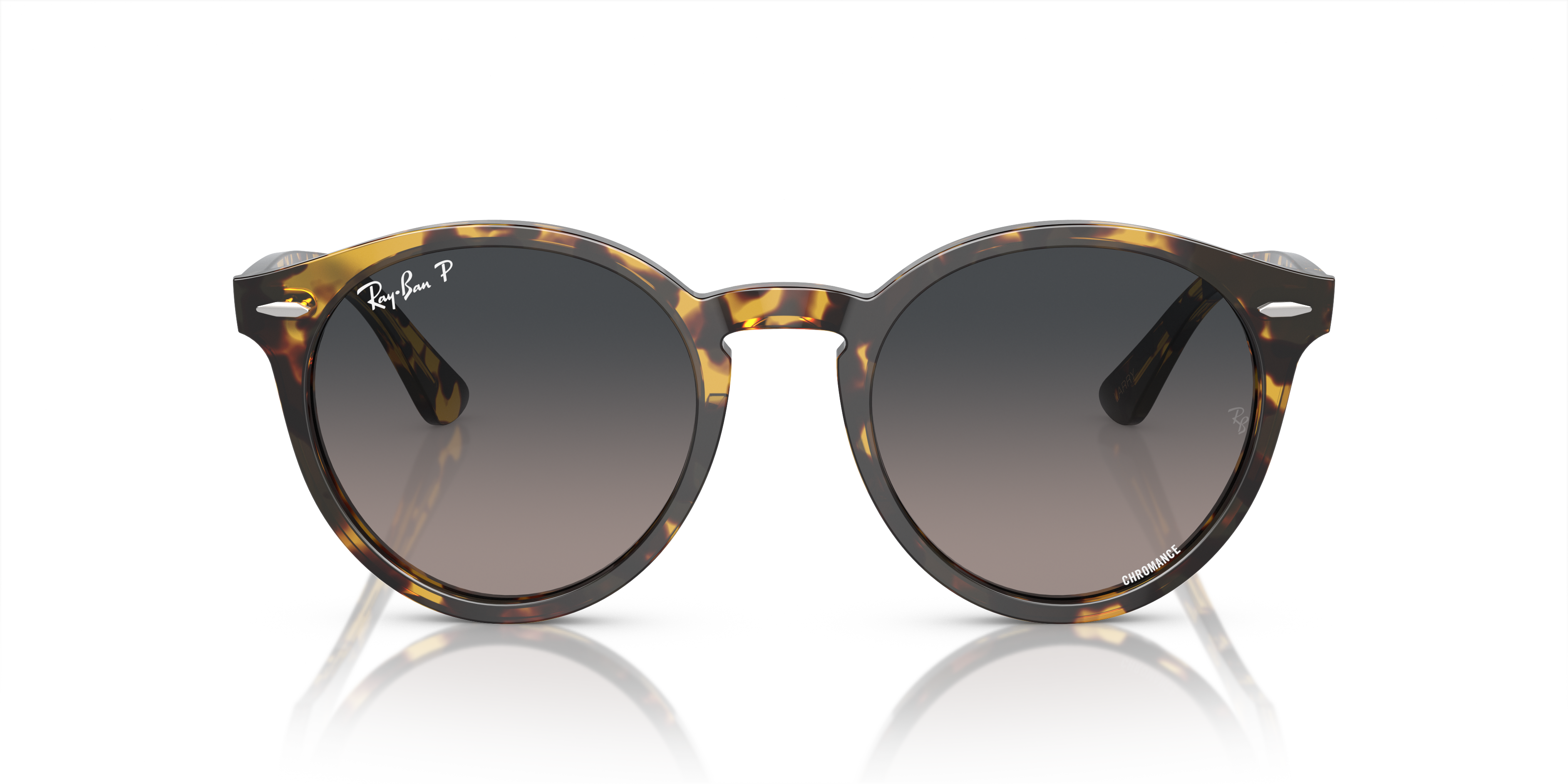 Ray-Ban Larry Sunglasses RB7680S 1332GL