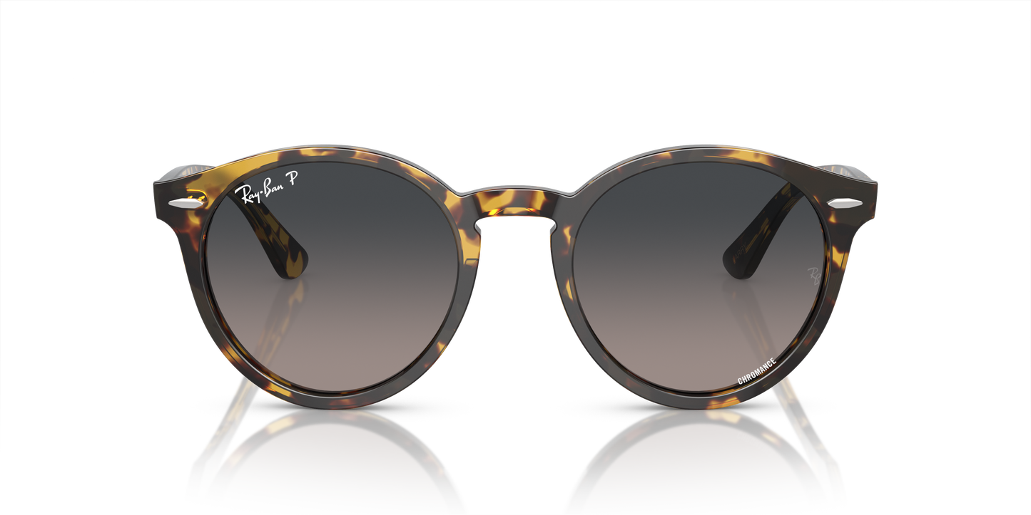 Ray-Ban Larry Sunglasses RB7680S 1332GL