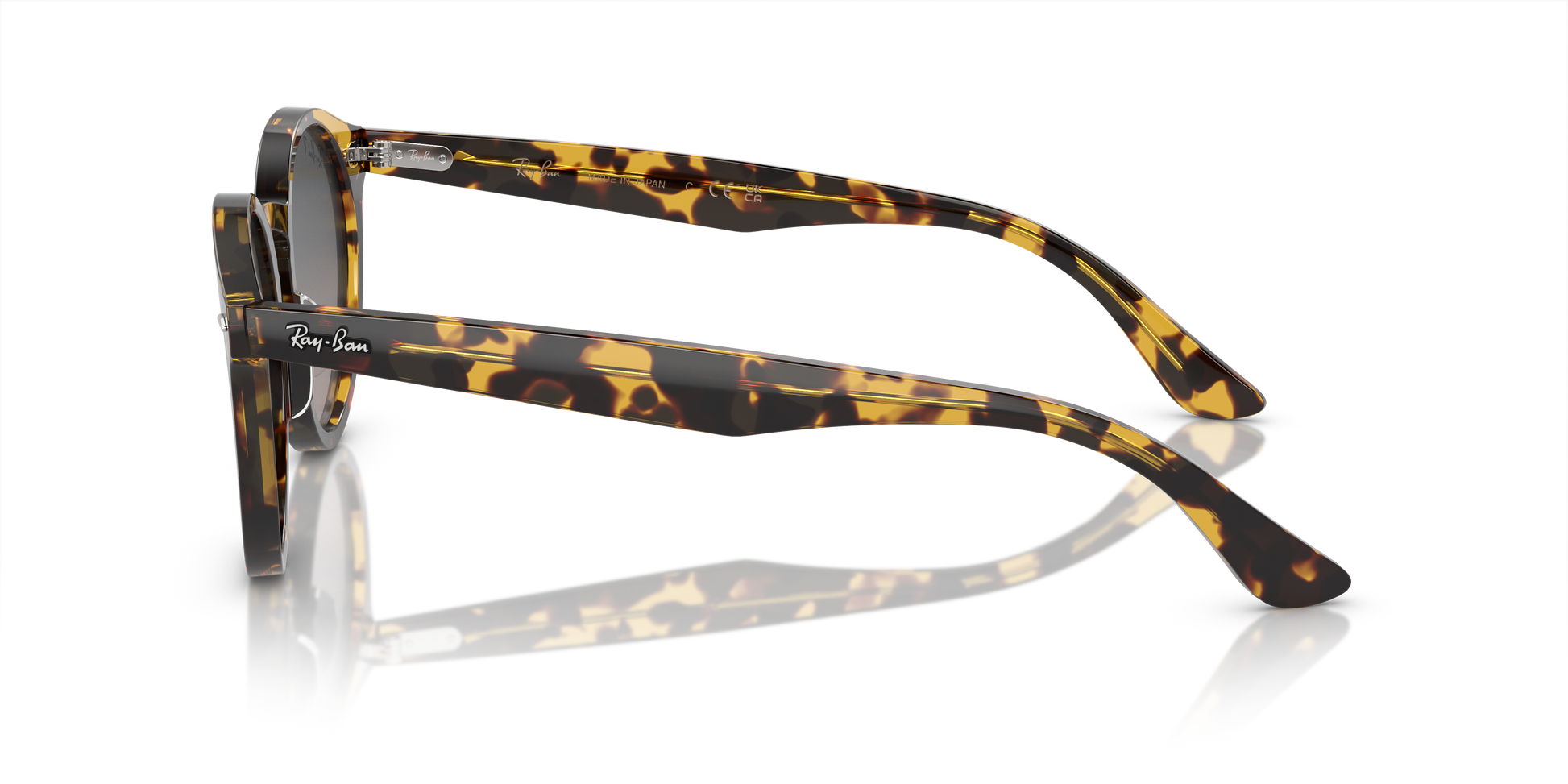 Ray-Ban Larry Sunglasses RB7680S 1332GL