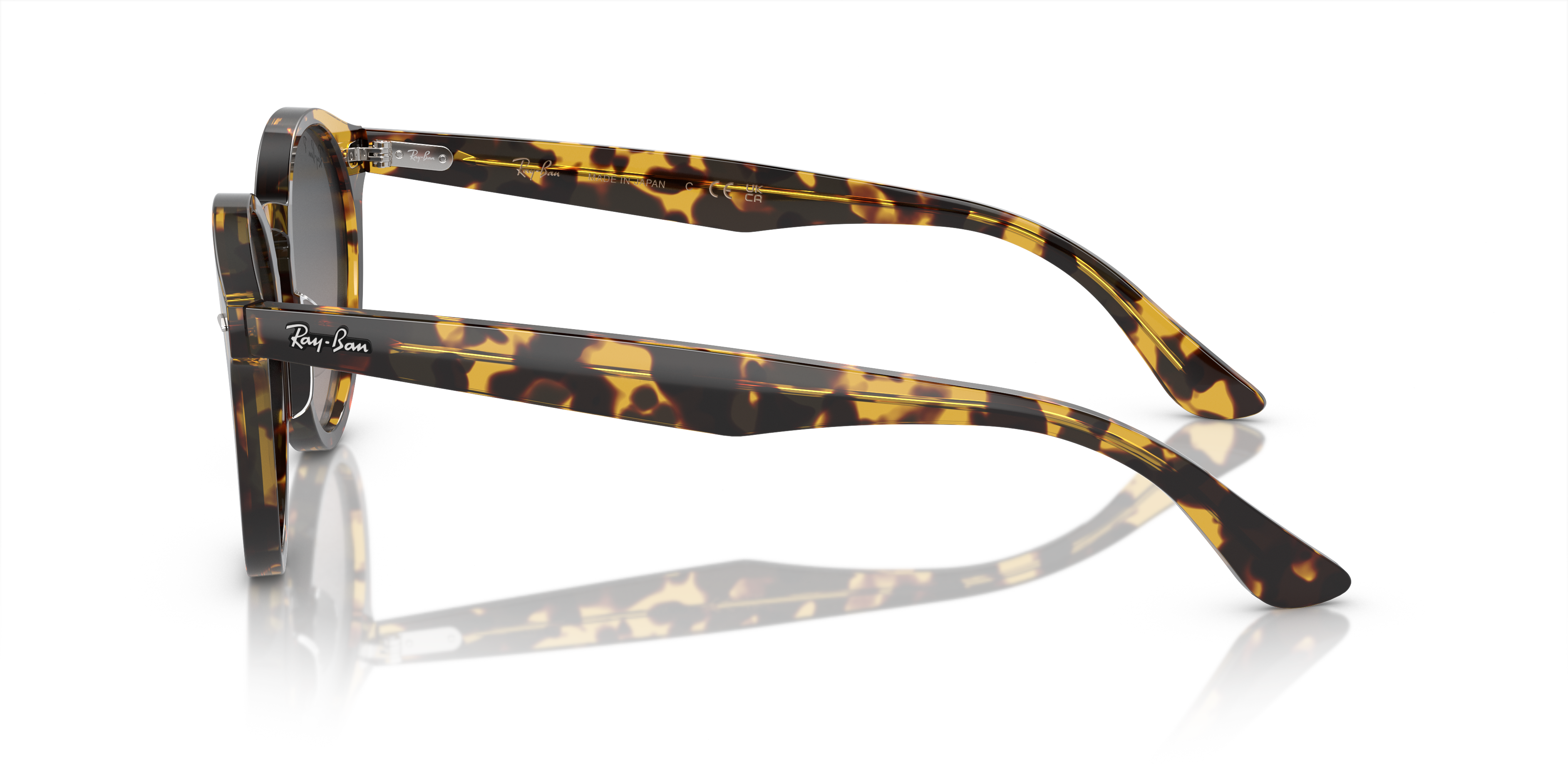 Ray-Ban Larry Sunglasses RB7680S 1332GL