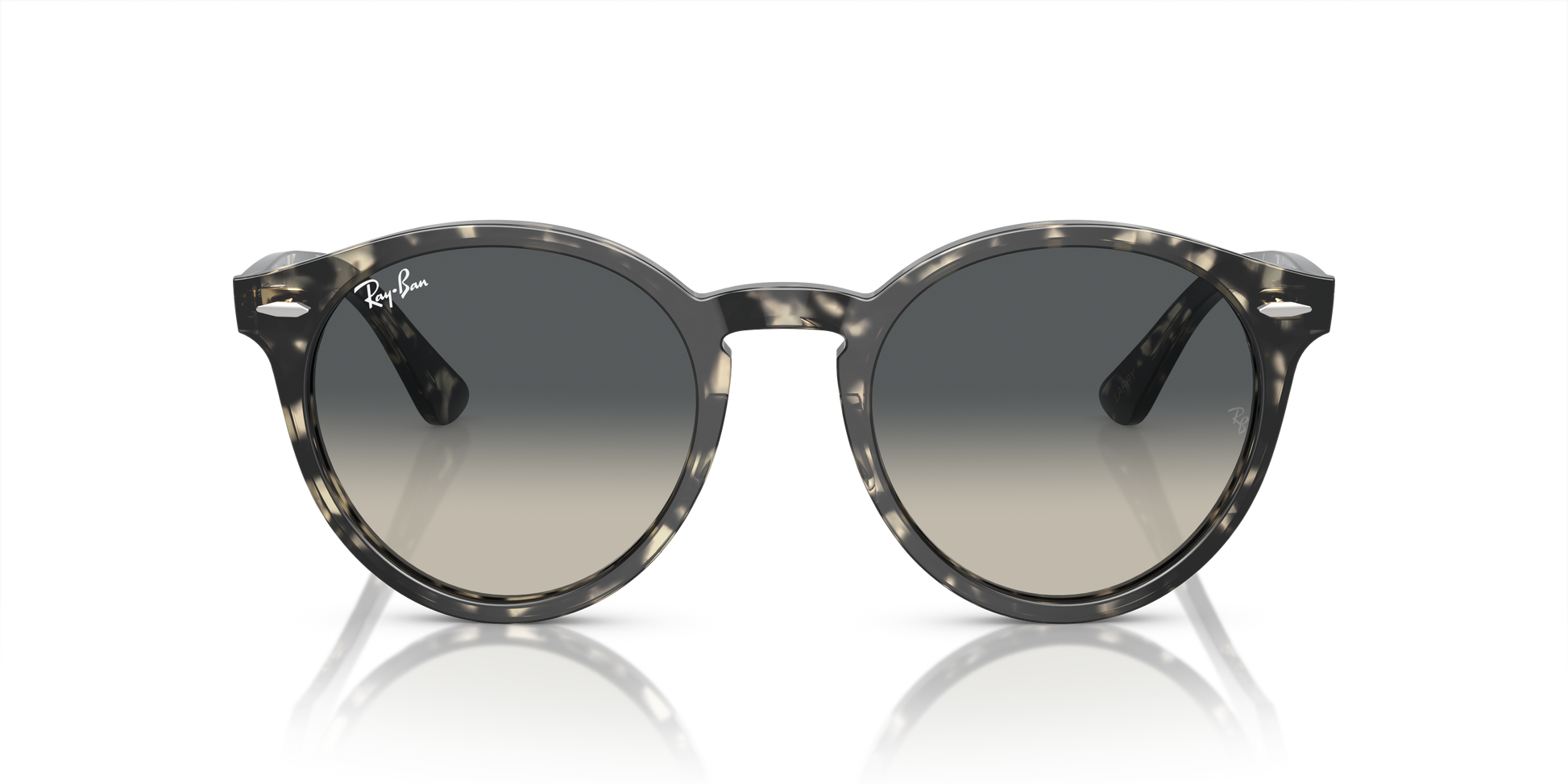 Ray-Ban Larry Sunglasses RB7680S 133371