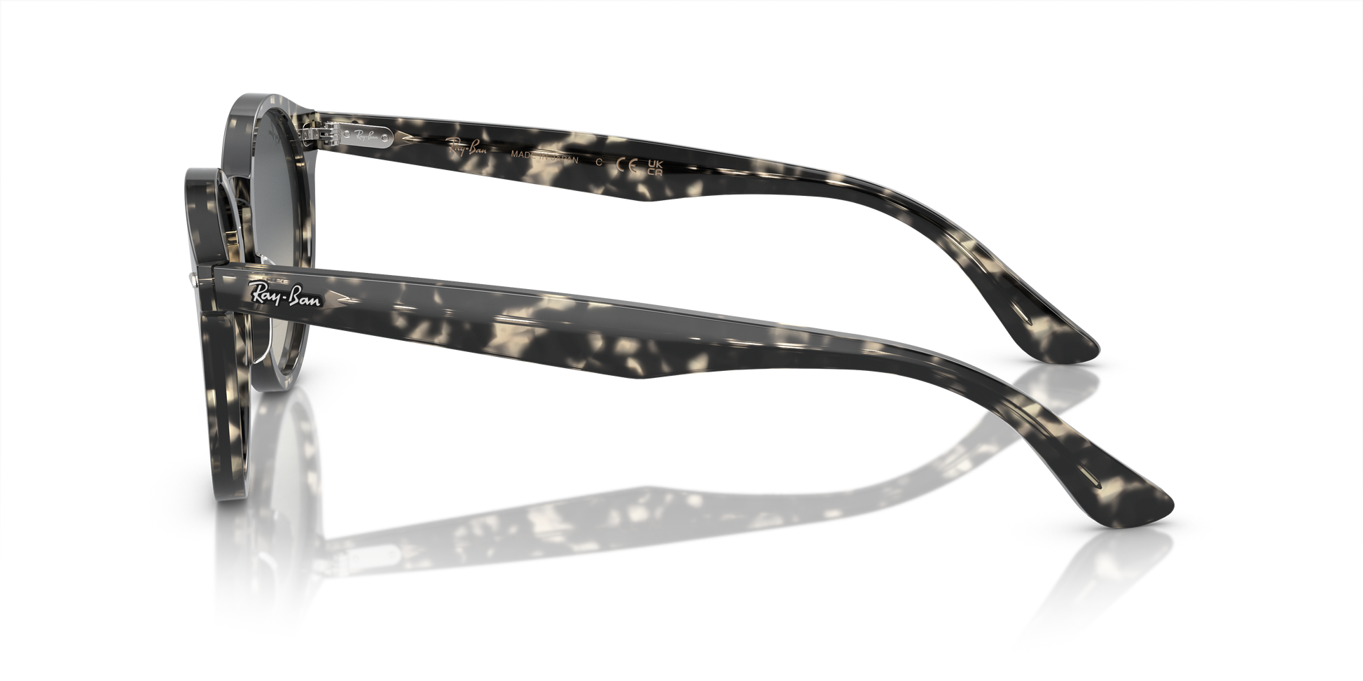 Ray-Ban Larry Sunglasses RB7680S 133371